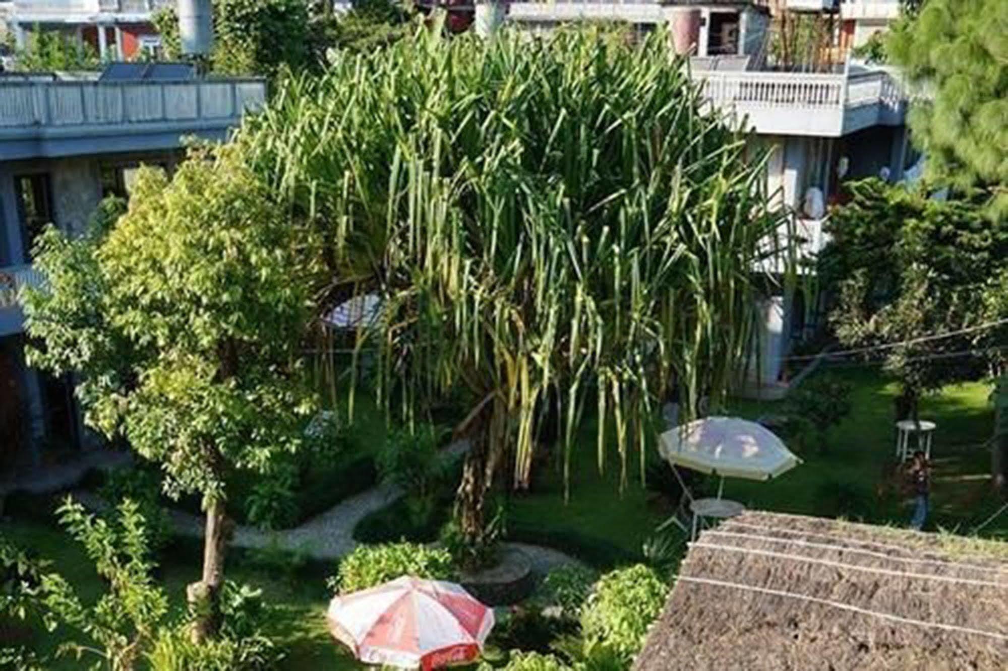 פוקהרה Hotel Mandala מראה חיצוני תמונה